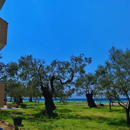 Ktima Panaretos Sea And Olive Guest house *