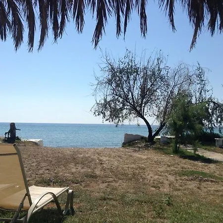 Ktima Panaretos Sea And Olive * Prinos (Thasos)