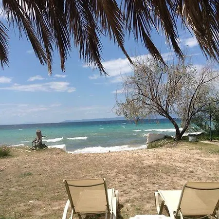 Ktima Panaretos Sea And Olive Prinos (Thasos)