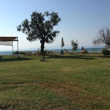 게스트하우스 Ktima Panaretos Sea And Olive 프리노스