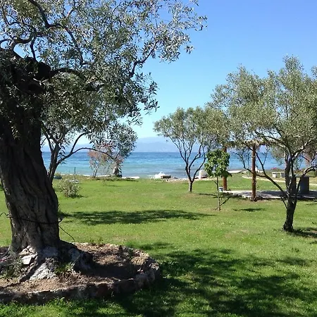 Ktima Panaretos Sea And Olive Guest house *