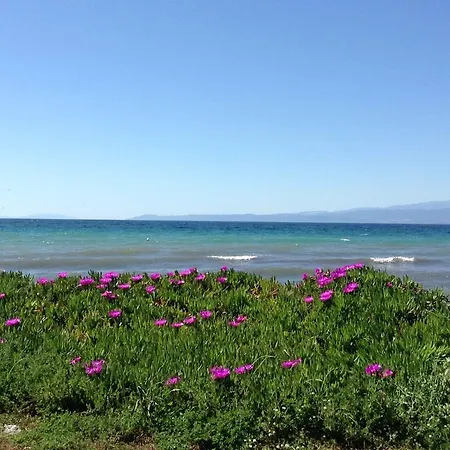 Guest house Ktima Panaretos Sea And Olive Prinos (Thasos)