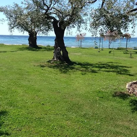 Ktima Panaretos Sea And Olive Gasthof Prínos