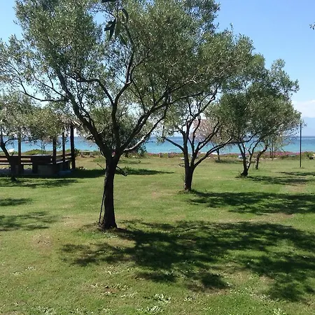 Ktima Panaretos Sea And Olive Guest house *