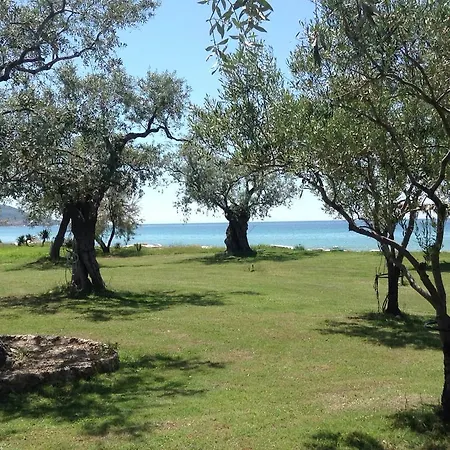 게스트하우스 Ktima Panaretos Sea And Olive 프리노스
