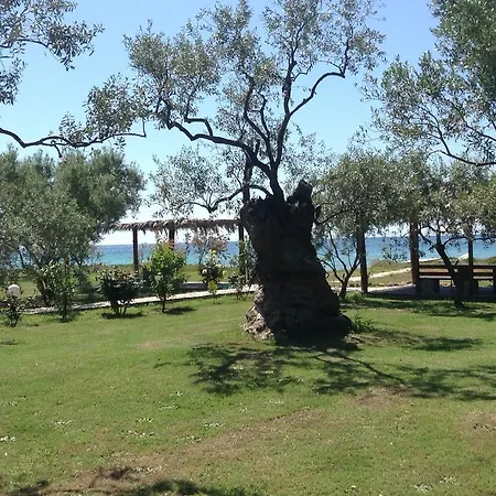 Ktima Panaretos Sea And Olive * Prínos