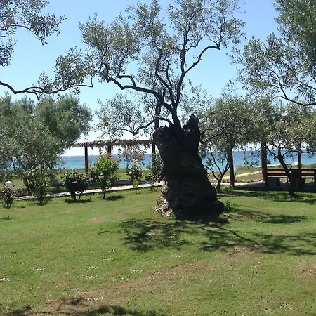 Ktima Panaretos Sea And Olive * Prinos (Thasos)