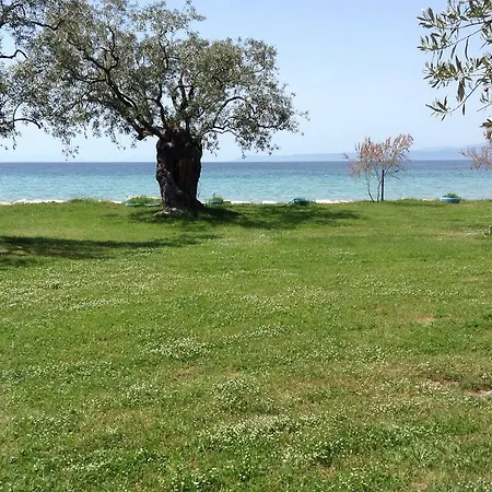 Pensionat Ktima Panaretos Sea And Olive Prínos