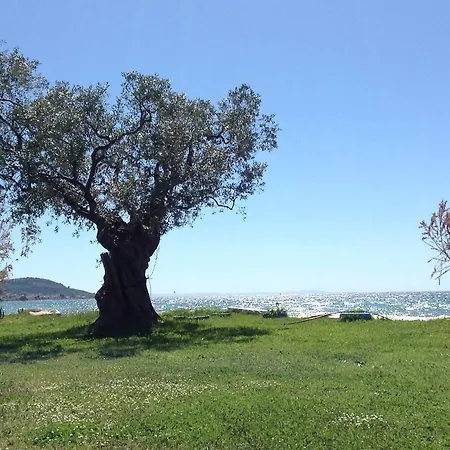 Ktima Panaretos Sea And Olive * Prínos