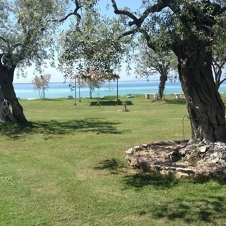 Gasthof Ktima Panaretos Sea And Olive