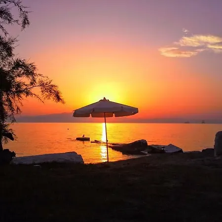 Guest house Ktima Panaretos Sea And Olive Prinos (Thasos)