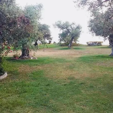 Ktima Panaretos Sea And Olive 프리노스