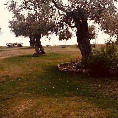 Ktima Panaretos Sea And Olive * Prínos
