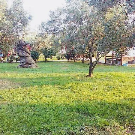 Ktima Panaretos Sea And Olive Prinos (Thasos)
