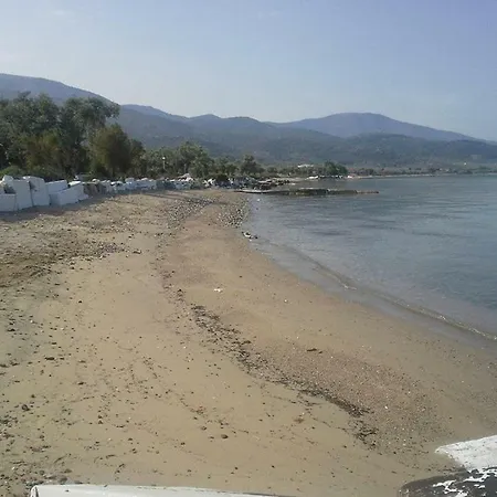 Ktima Panaretos Sea And Olive *