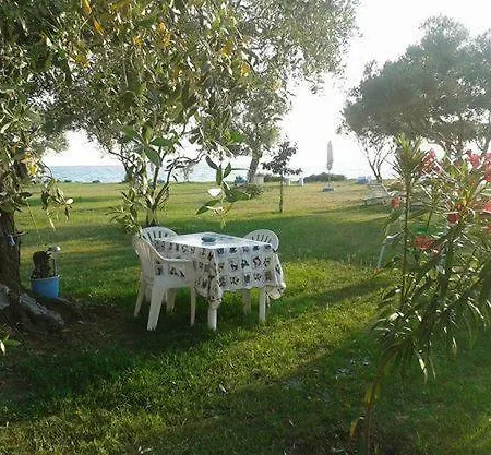 Ktima Panaretos Sea And Olive Guest house *